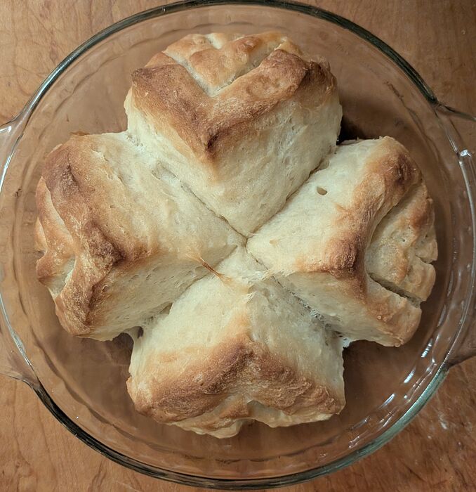 PXL_20260319_002420418~2