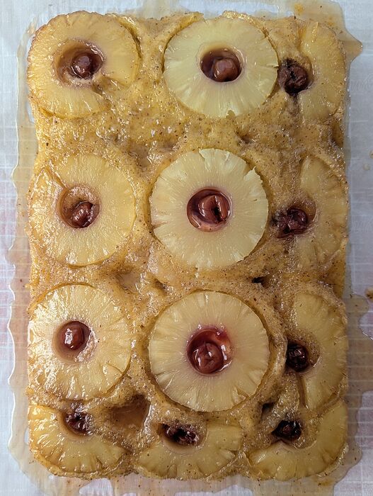 PXL_20260129_153651206.MP~2