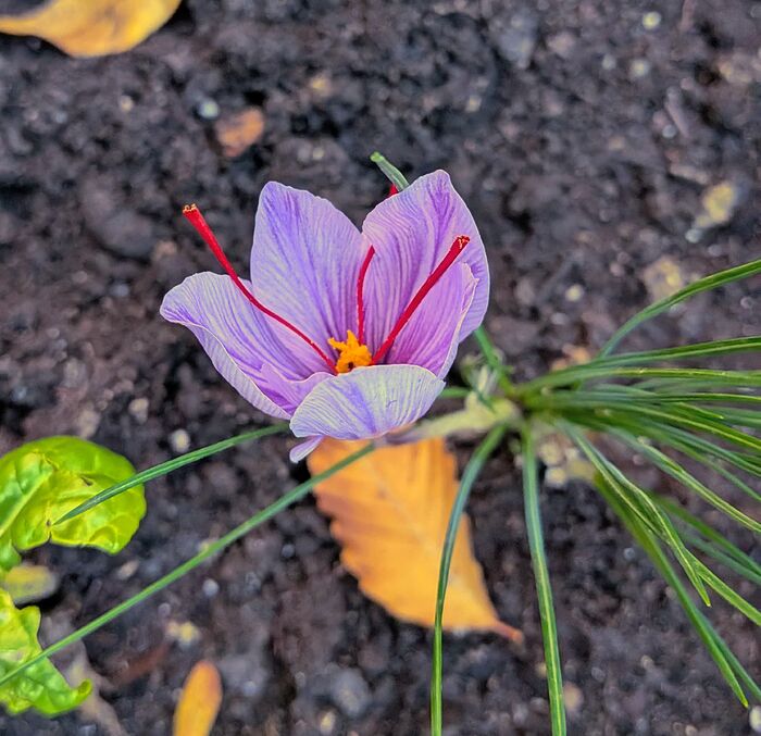 PXL_20251027_211651386.MP~3