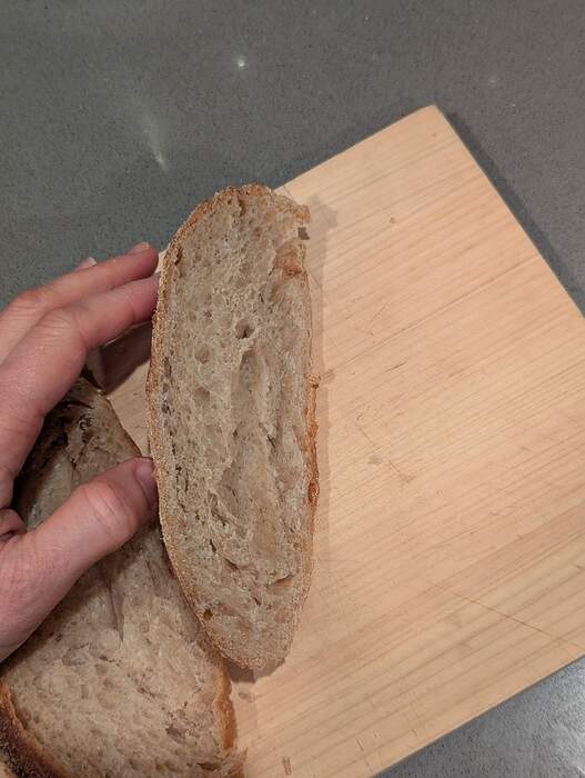 PXL_20260221_120930447.MP