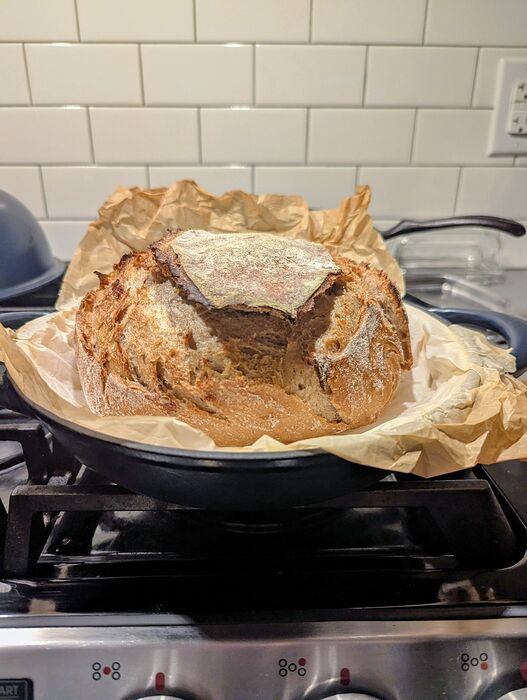 PXL_20260309_012432671.MP~2