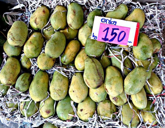 556811590_10228007008150144_5058956948629172247_n