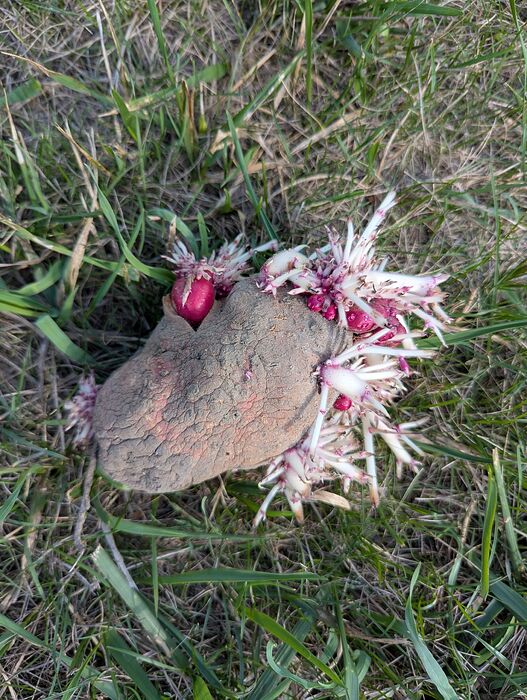 PXL_20250822_211435900