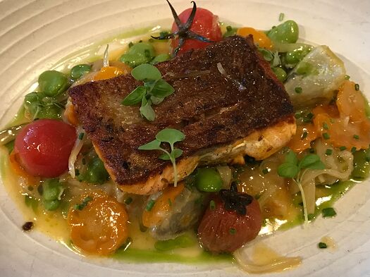 sea trout