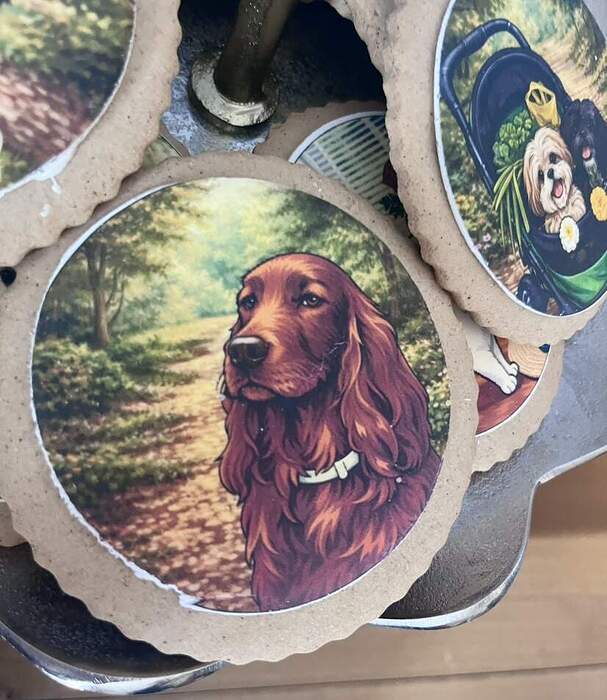 5FCC9CD7-5C79-4564-B74C-6430055C53A0_1_105_c