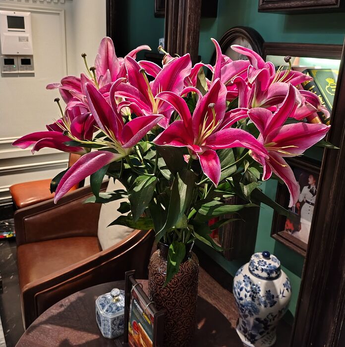 IMG_20250710_213227770_HDR