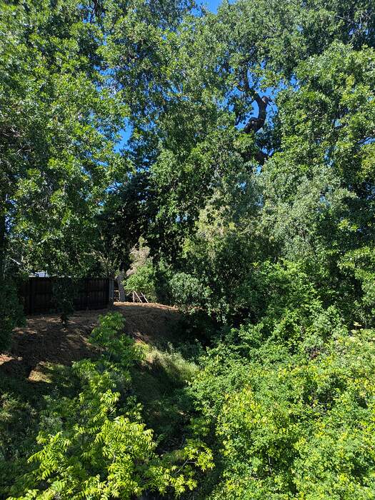 PXL_20260402_201907017.LONG_EXPOSURE