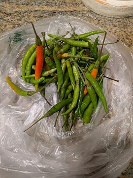 PXL_20251104_172530484