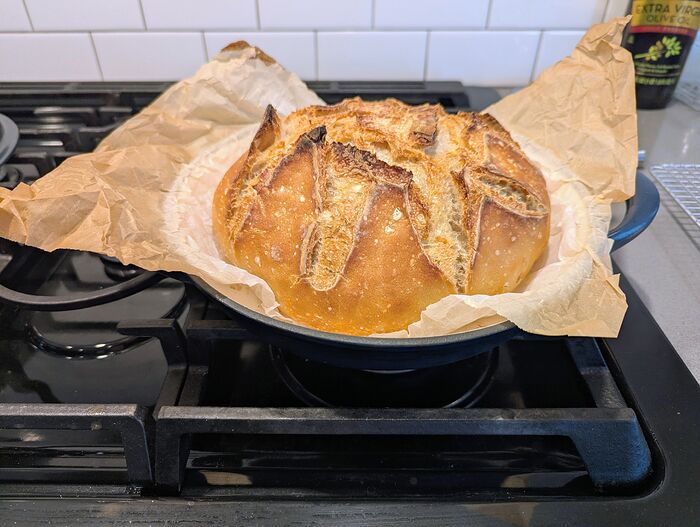 PXL_20260203_151624151.MP~2