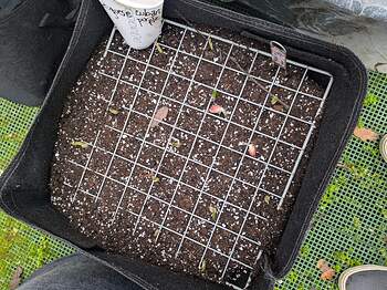 PXL_20251223_175111634