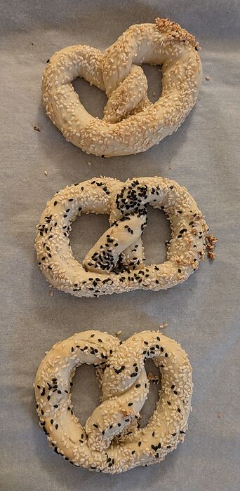 PXL_20260305_171522799~2