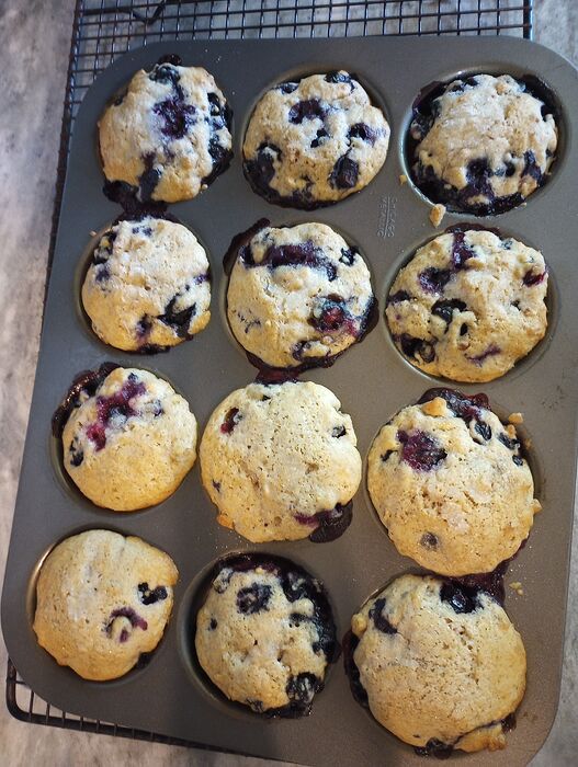 Aug 2 Blueberry Pecan whole wheat muffin tops (1)