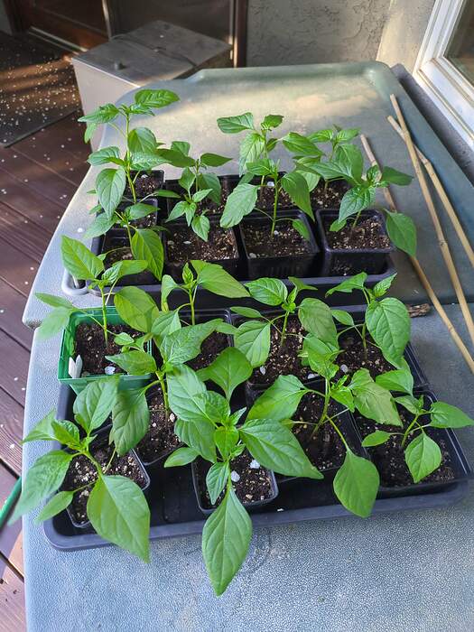 17728445324085469716745113359879