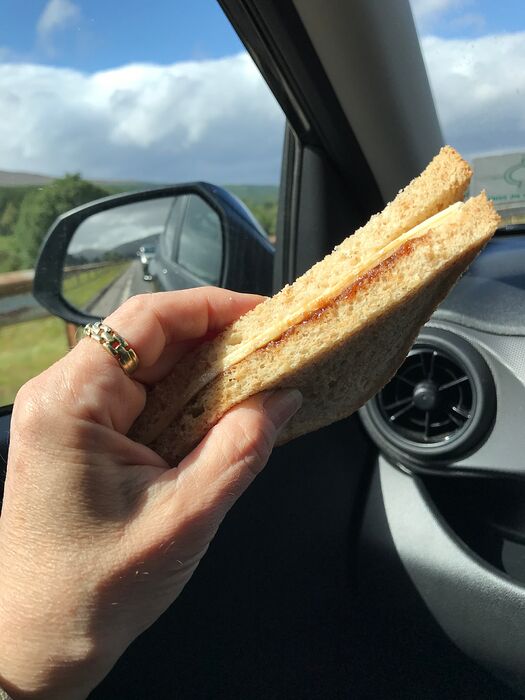 sandwich