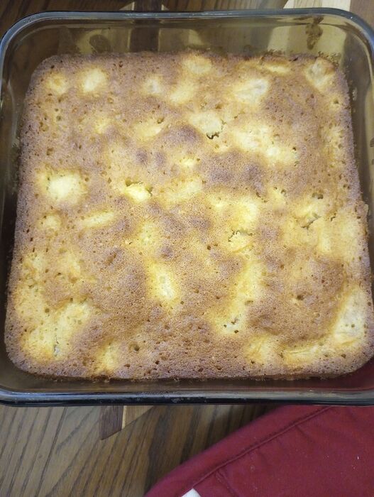 July 18 Apple Cake (1)