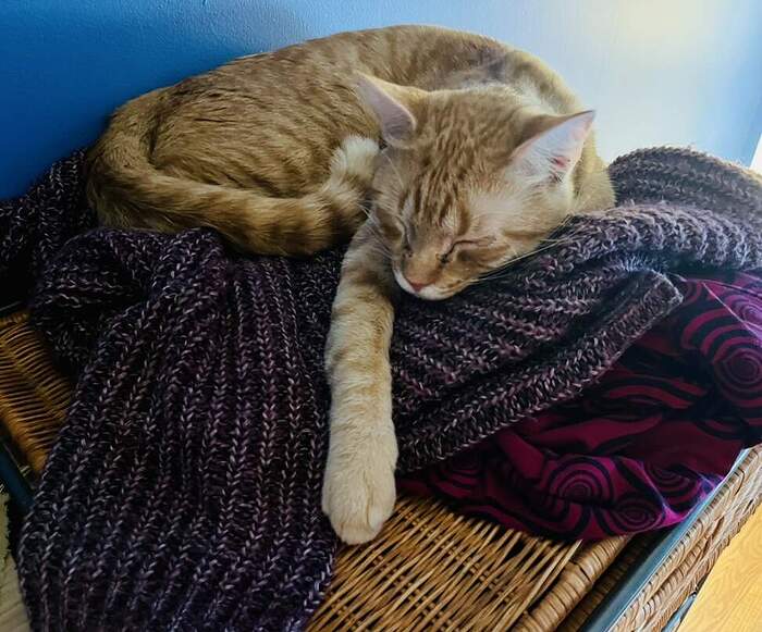 693DF9FF-3EF9-4938-A671-49EE894BC728_1_105_c