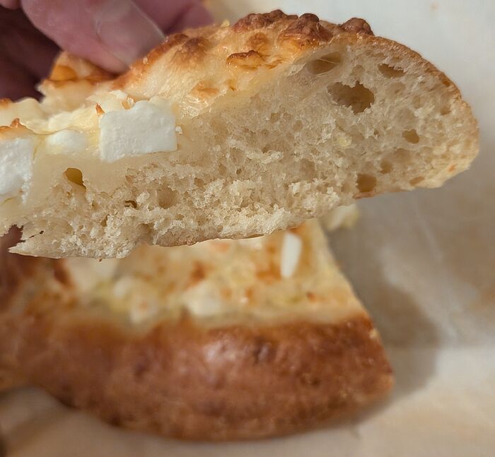 PXL_20260223_005437055~2