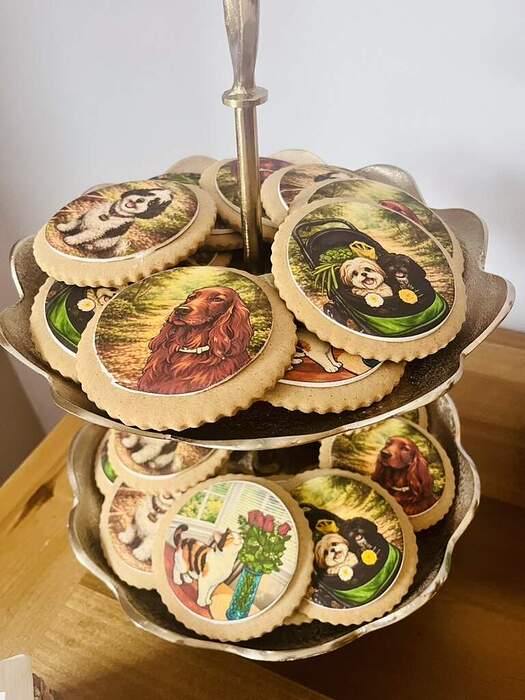 34A8AC08-EFDA-4BBB-90AD-5F030DFAD46F_1_105_c