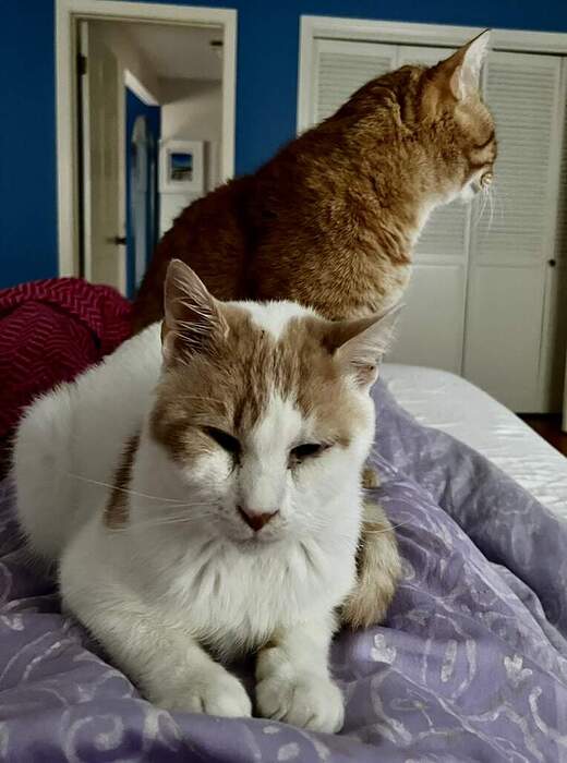 8321E439-3734-4AAC-9121-4FED2B657513_1_105_c