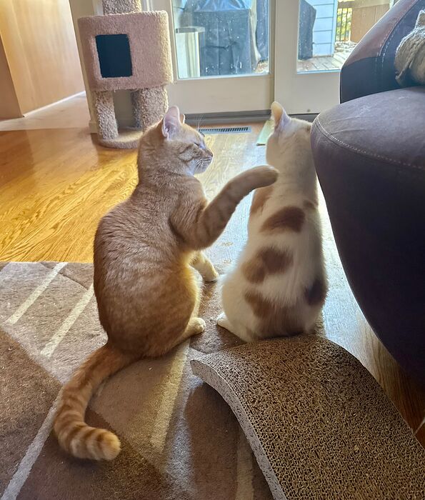 78369969650__F9337A6B-35BF-41D9-B73B-E22D4BA484EE