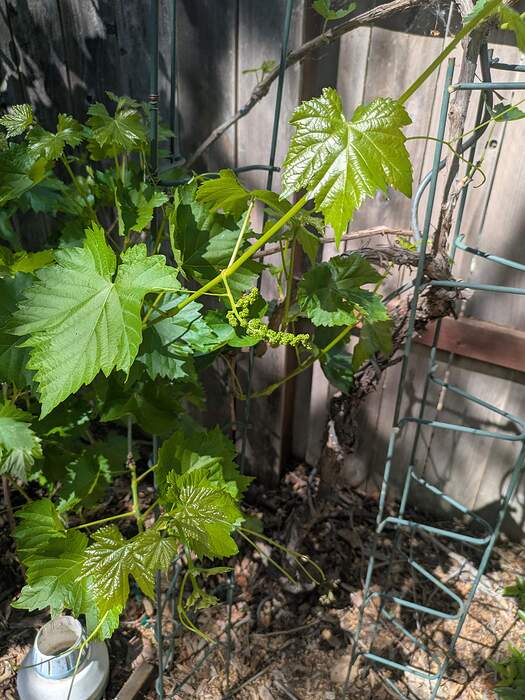 PXL_20260325_201912509