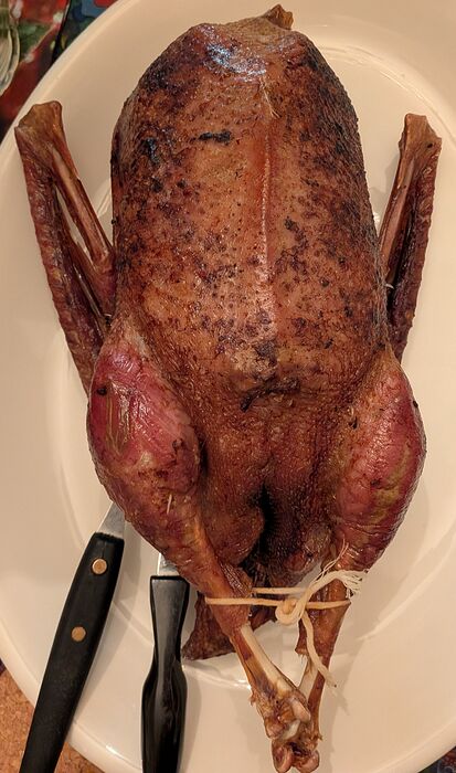 PXL_20251226_012802233~2