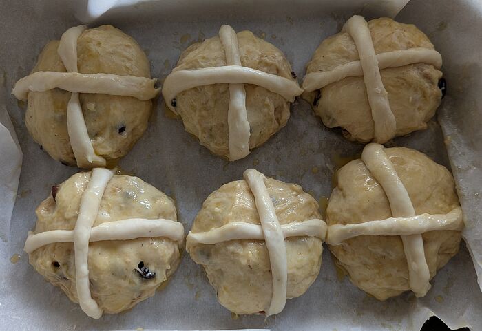 PXL_20260403_160513780~2