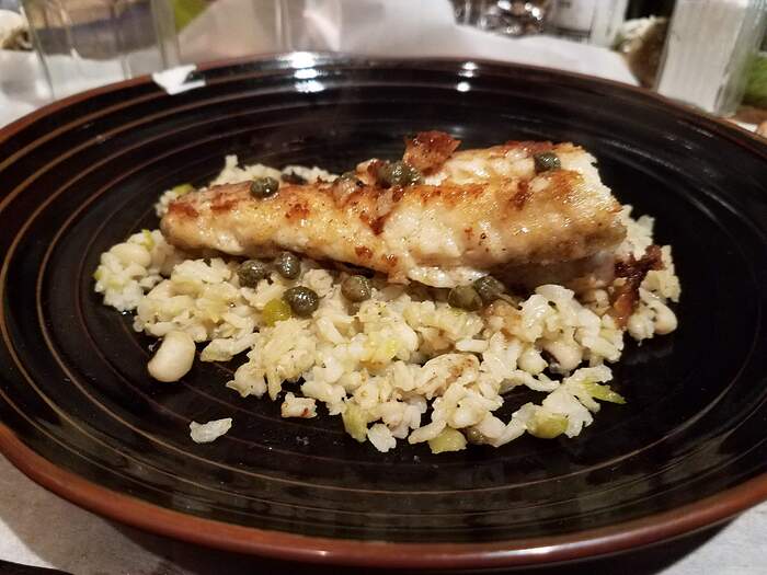 Monkfish20260120_193709