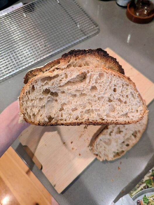 PXL_20260124_170749568.MP~2