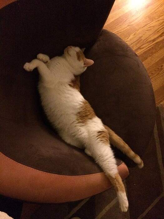 56D3FA06-EC43-4C45-ABEC-E7282FCC797D_1_105_c