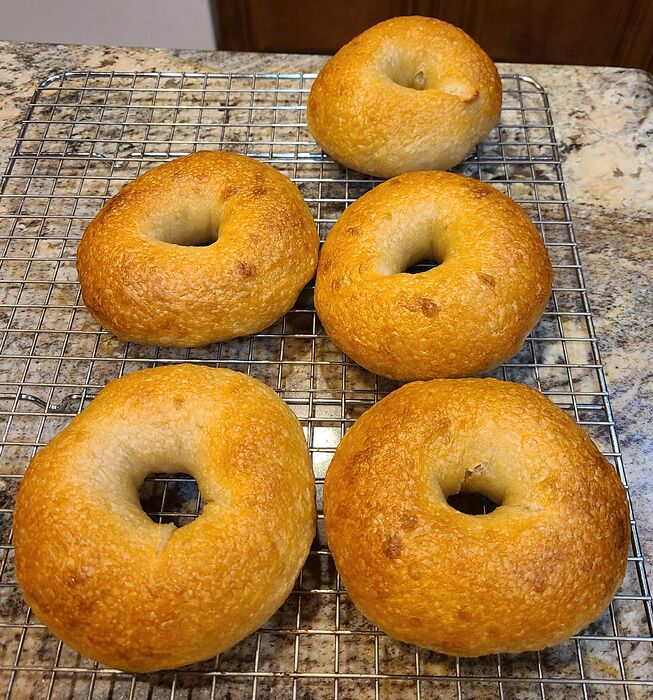 MO BAGELS