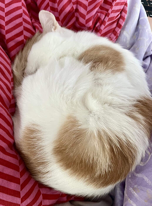 5EBEE5AC-DA83-4D74-87C0-B4D119BA5B53_1_201_a