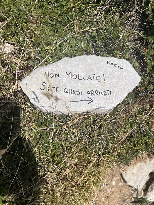 821DF872-005E-43CA-A9E5-6FA7B3FAB0BB_1_105_c