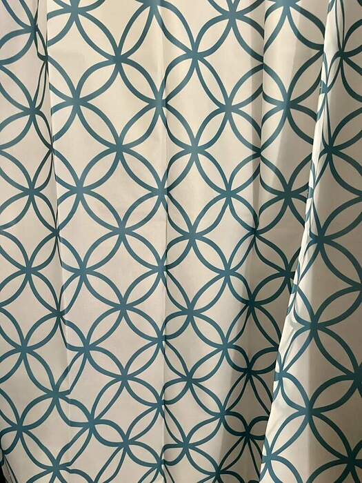 0AB88291-D9FA-433E-8CE9-85D47ED9ABF2_1_105_c