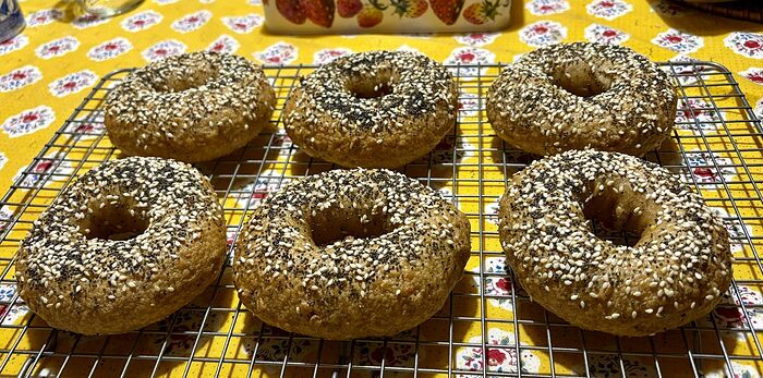 Honey Whole Wheat Bagels