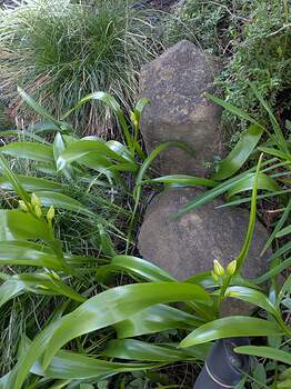 PXL_20260222_233253869