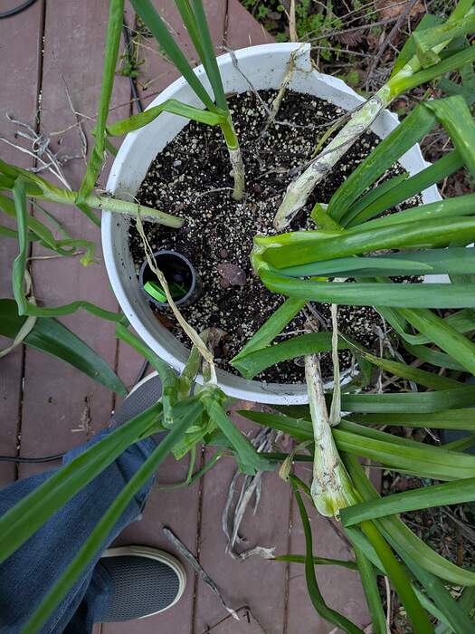 PXL_20260116_010937373