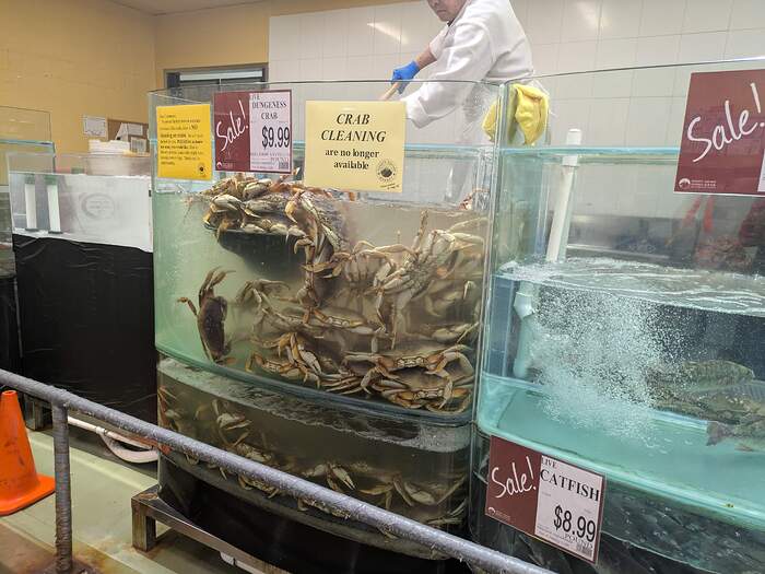 PXL_20260113_190823183