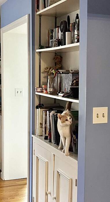 E23551BB-A7DC-470C-9409-426F5B2E09B2_1_105_c