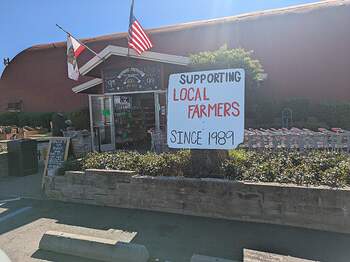 PXL_20260312_180250512