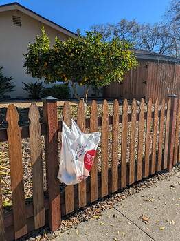 PXL_20251228_195501810