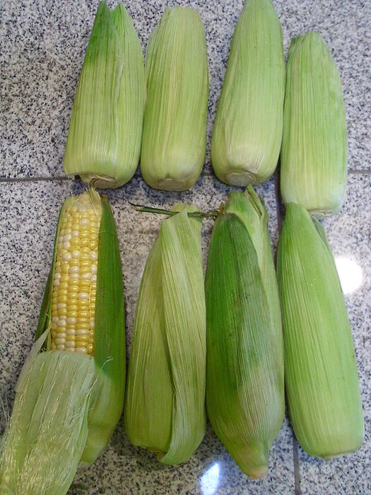 Corn_Sale
