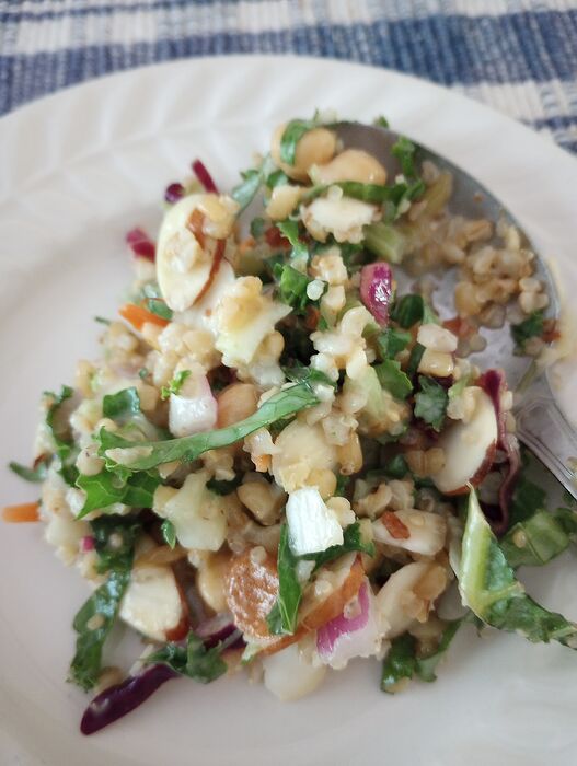 July 11 Costco Grain and Celery salad (2)
