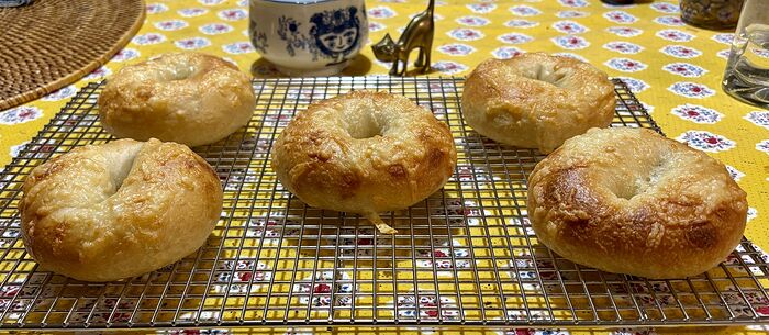 Asiago Bagels