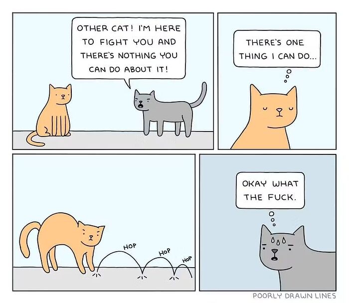 584350256_1265581032279722_5358827619329942017_n