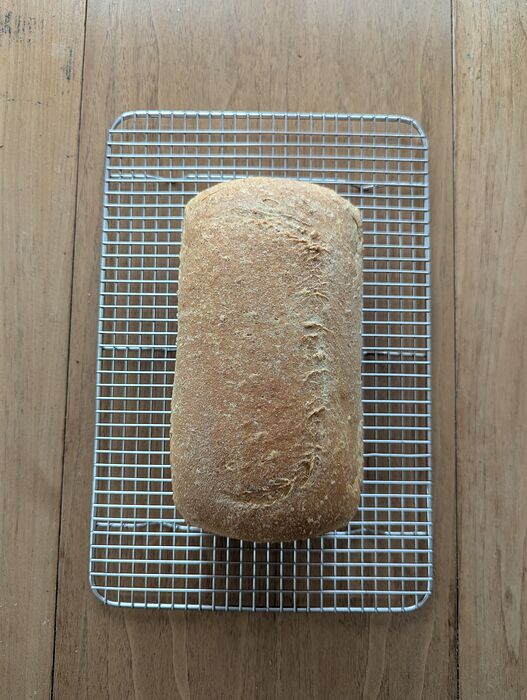 PXL_20251109_205313555.MP