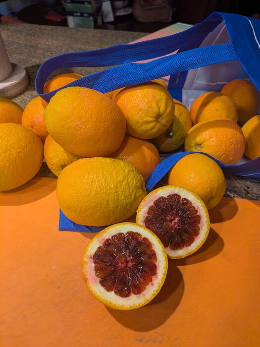 PXL_20260331_014234404