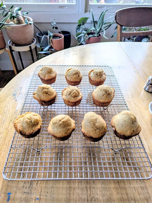 PXL_20260421_214105395.MP~2