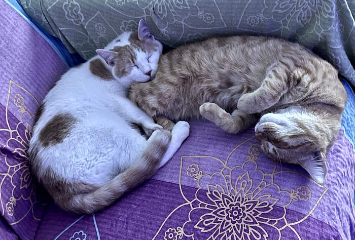 080D0D31-C5FB-4360-AD8E-C559A9955AC4_1_201_a