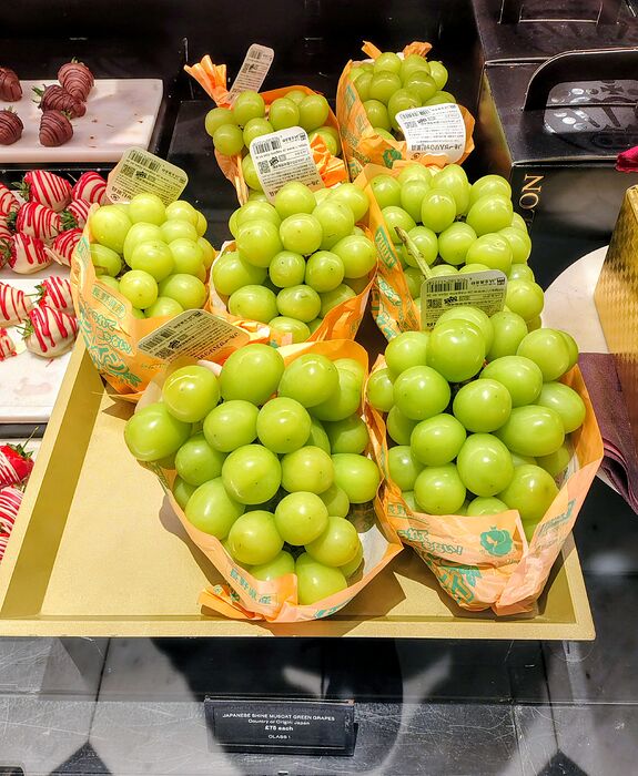 IMG_20260102_173305866_HDR~2